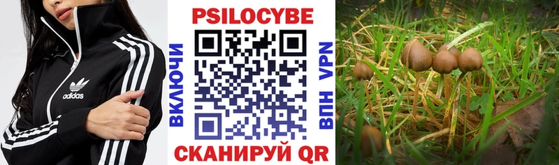 Галлюциногенные грибы мухоморы где купить наркотик Невель
